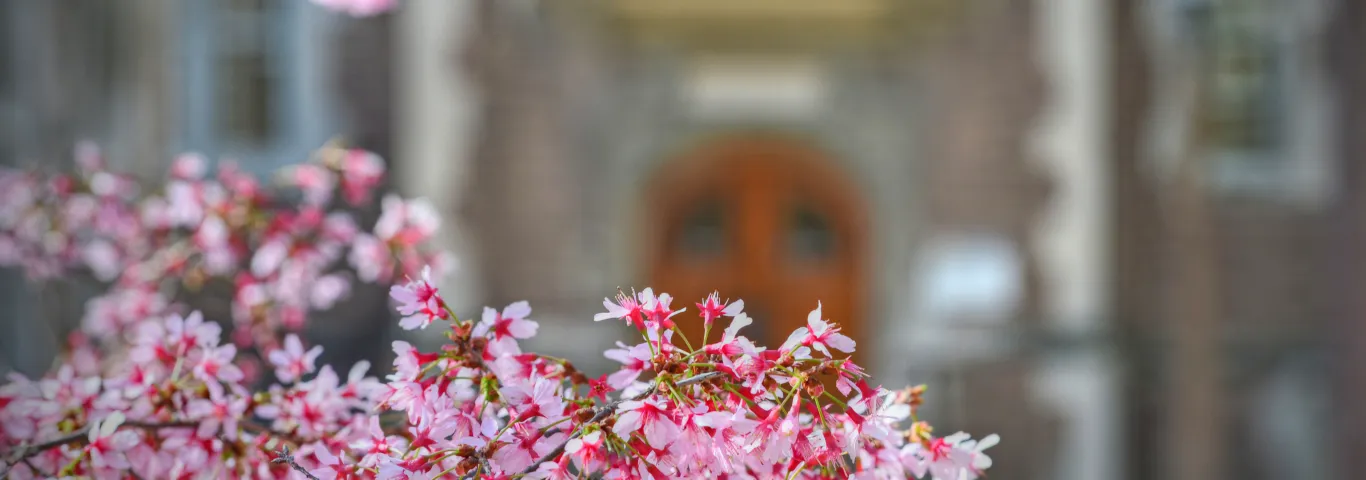 Kevin Jia awarded 2021 Stenner Memorial Essay Prize for Undergraduates