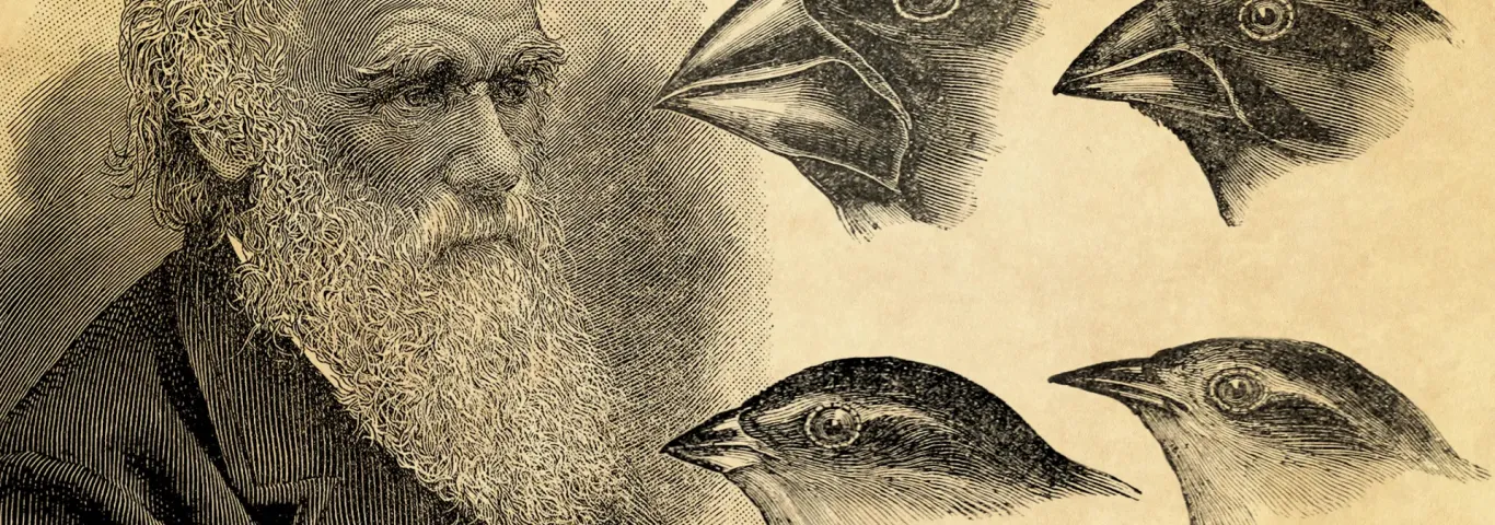 Darwin and some finches