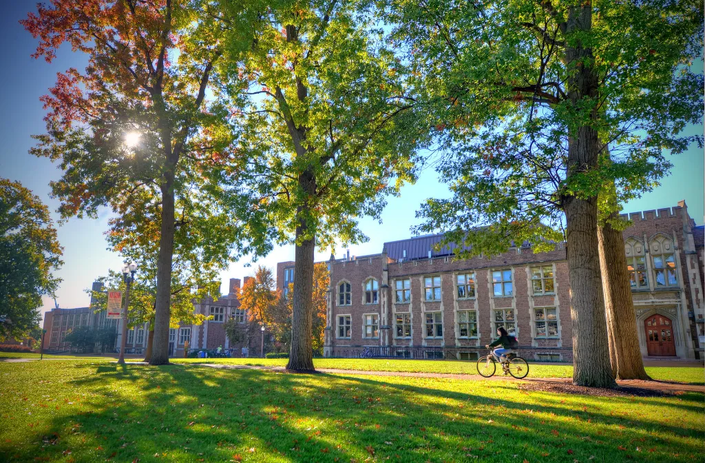 Fall on WashU campus