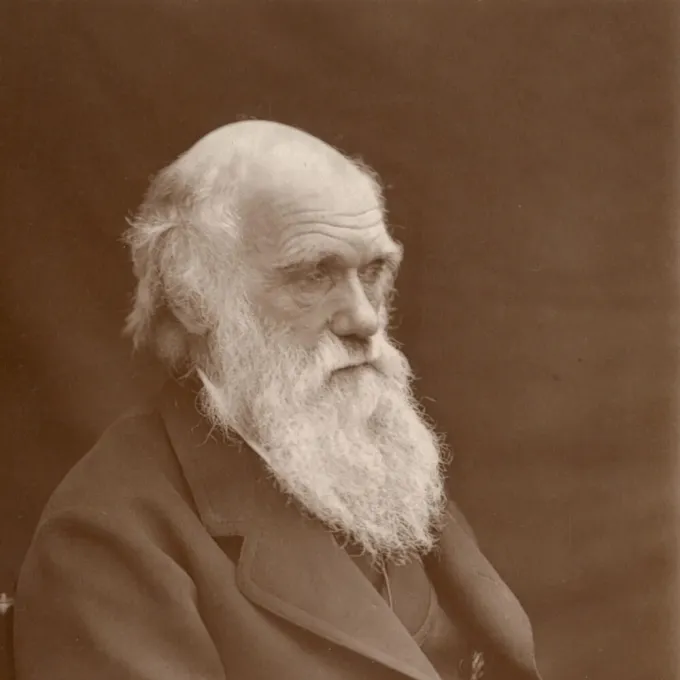 Darwin photo